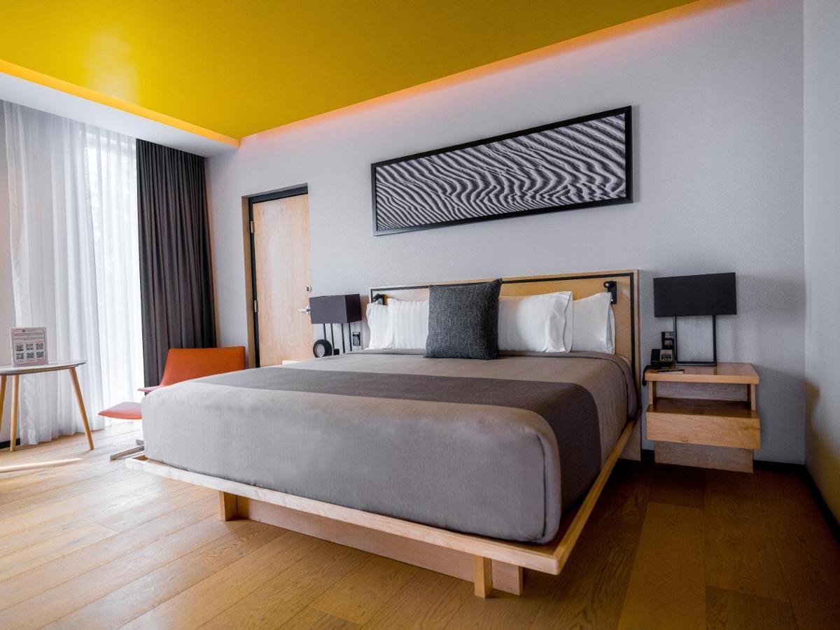 墨西哥城 Galeria Plaza San Jeronimo酒店 外观 照片 A room at the hotel