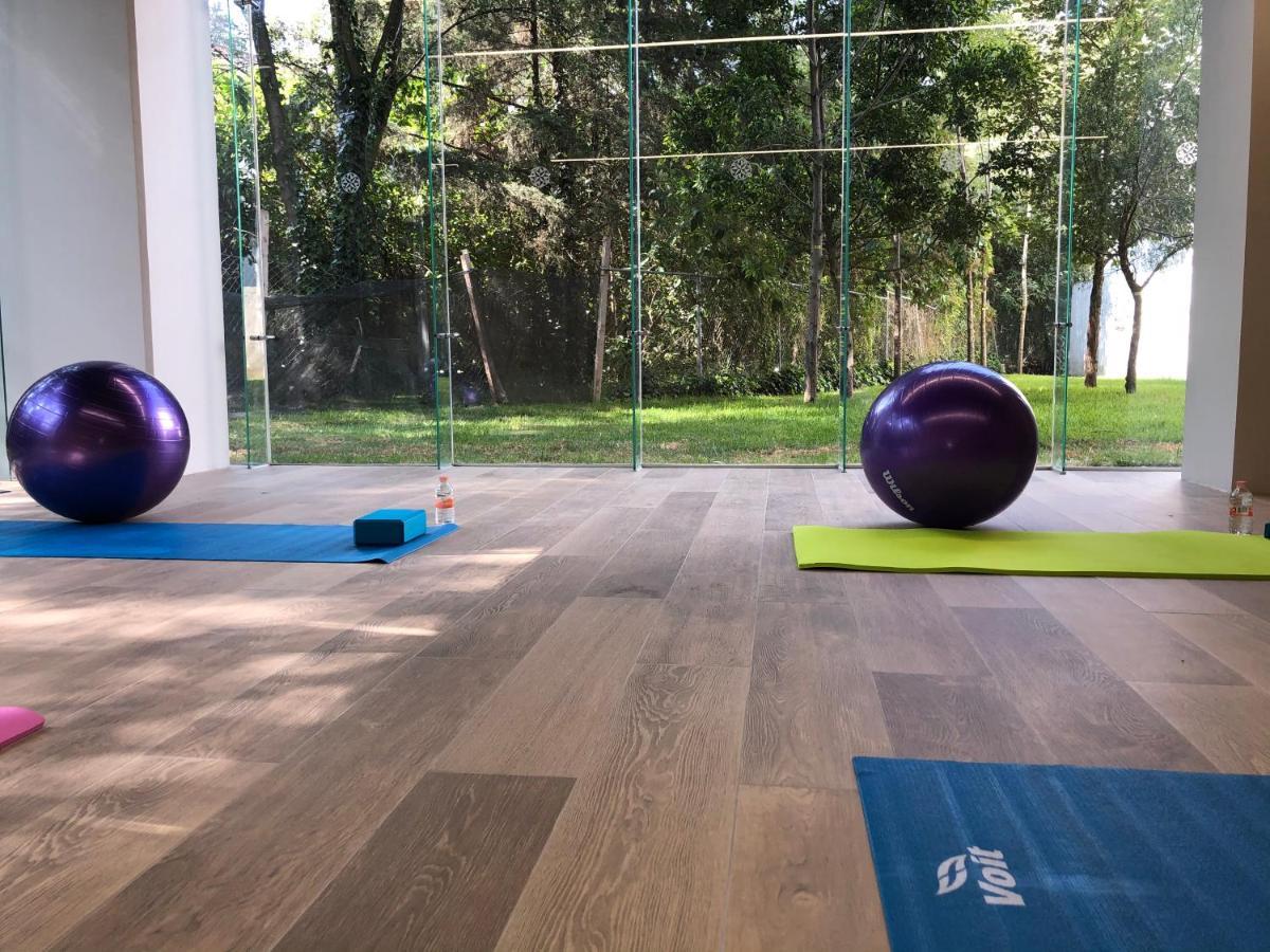 墨西哥城 Galeria Plaza San Jeronimo酒店 外观 照片 The gym at the hotel