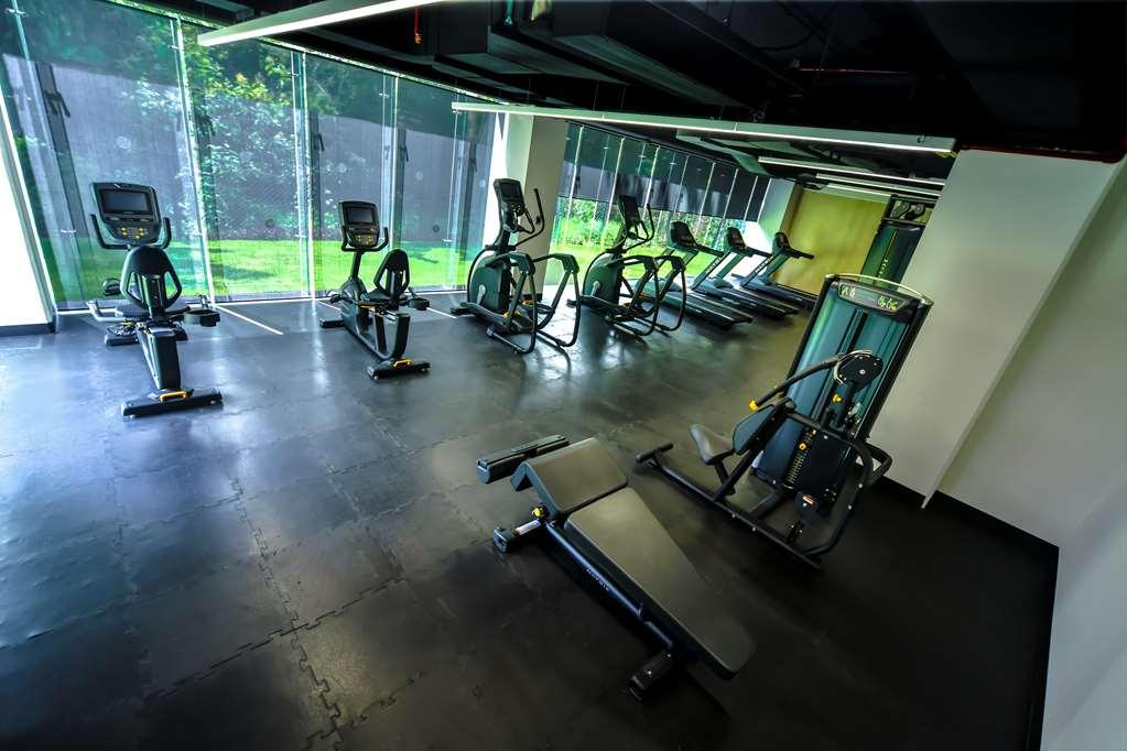 墨西哥城 Galeria Plaza San Jeronimo酒店 设施 照片 The gym at the hotel