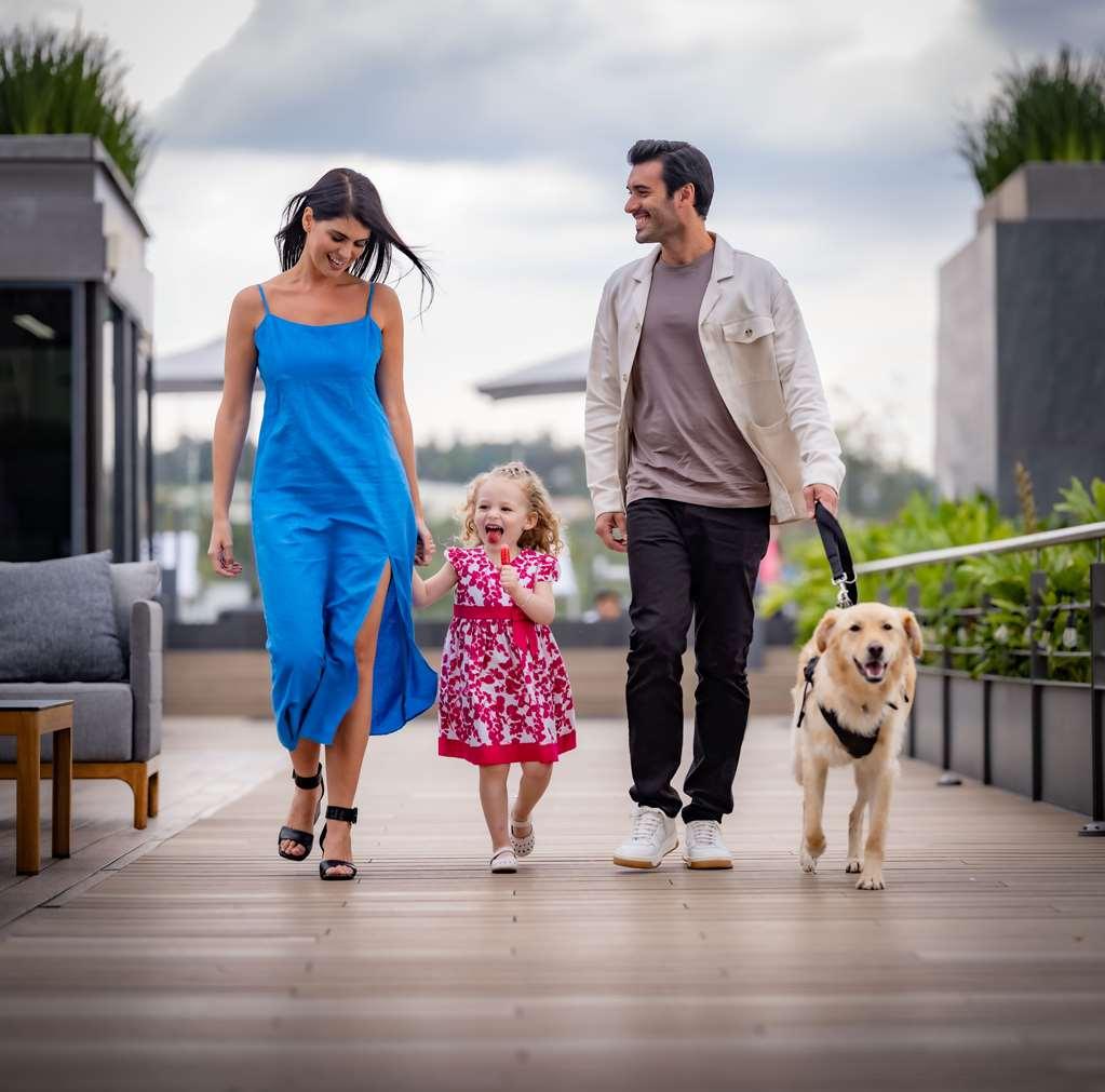 墨西哥城 Galeria Plaza San Jeronimo酒店 便利设施 照片 A family with a dog