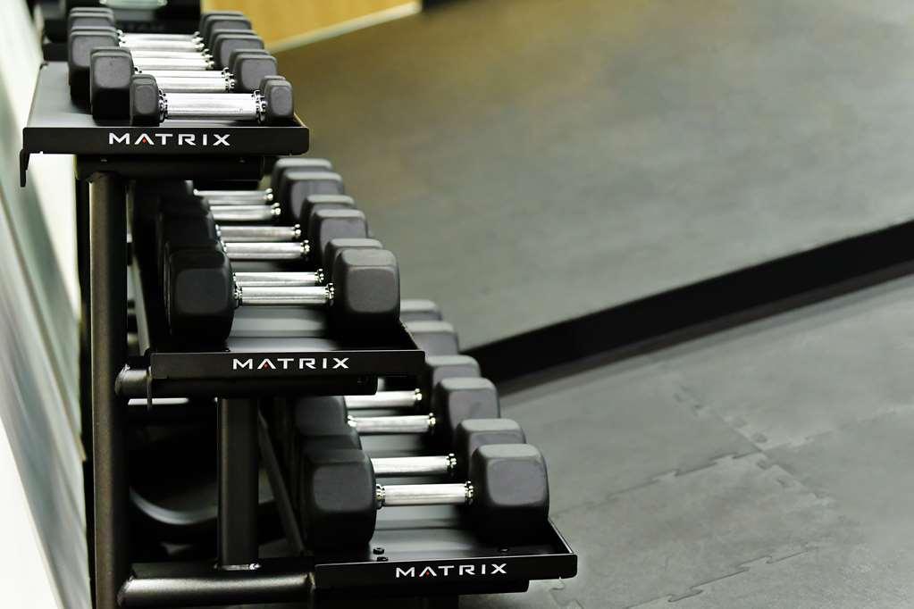 墨西哥城 Galeria Plaza San Jeronimo酒店 设施 照片 Dumbbells