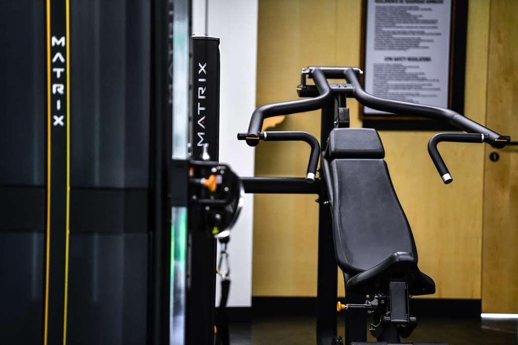 墨西哥城 Galeria Plaza San Jeronimo酒店 设施 照片 A shoulder press machine