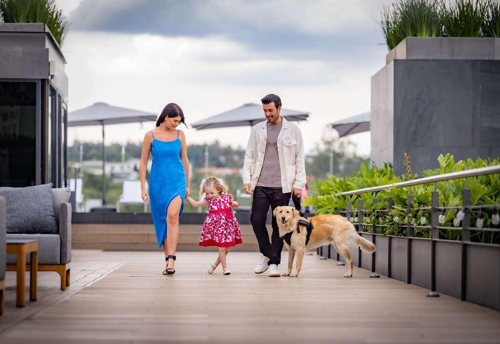 墨西哥城 Galeria Plaza San Jeronimo酒店 设施 照片 Residents on the Sky Deck