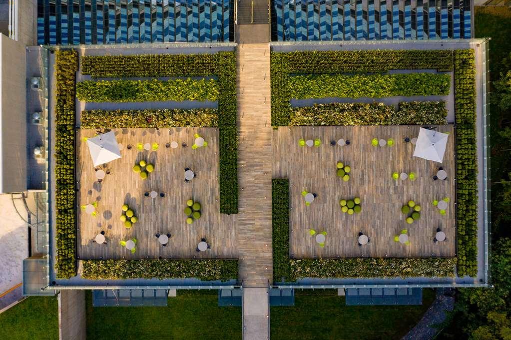 墨西哥城 Galeria Plaza San Jeronimo酒店 外观 照片 The green wall at the Allianz Arena
