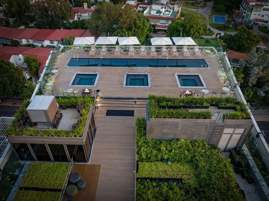 墨西哥城 Galeria Plaza San Jeronimo酒店 设施 照片 The rooftop pool at the hotel